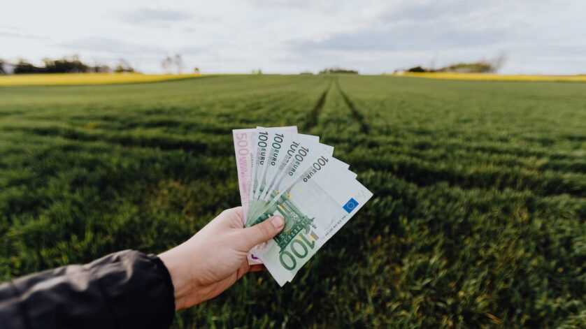 crop farmer showing money in green summer field in countryside