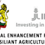 Kenya Cereal Enhancement Programme Climate Resillient Agricultural Livelihoods