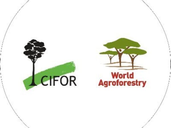 CIFOR-ICRAF logo, representing their commitment to sustainable forestry, agroforestry, and agricultural research for global food security and environmental well-being.
