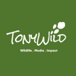 TonyWild Foundation