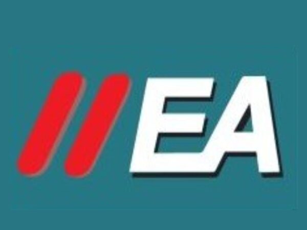 ENOS AUCH AND ASSOCIATES company logo featuring a stylized audit ledger symbolizing integrity and precision in auditing services.