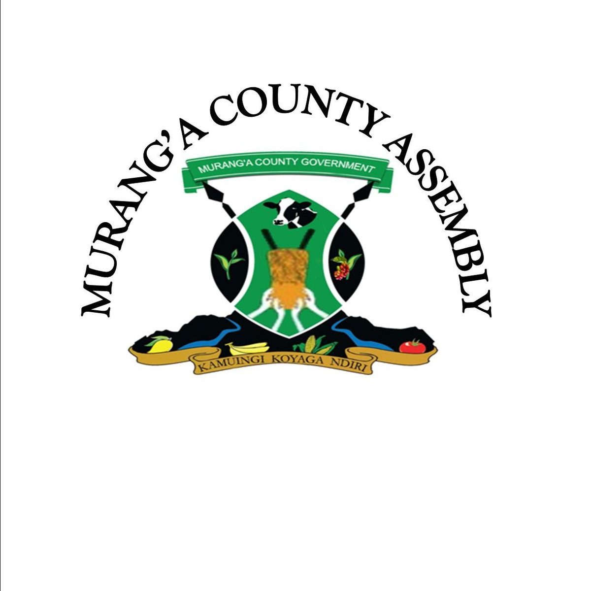 MURANG A COUNTY GOVERNMENT visual data 8