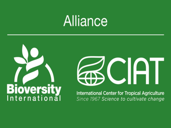 Alliance Bioversity & CIAT Logo, representing innovation in agriculture and environmental research.